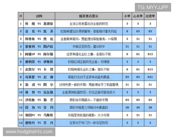 掌握百家乐赔率规则的详细流程与策略指南新手必看提升游戏体验